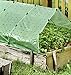 Windhager Strong Cold Frame Film, Planting Film for All-Year Protection, Cold Frame Film, Film for Plants, Green, 37 µm, 10 x 1.5 m