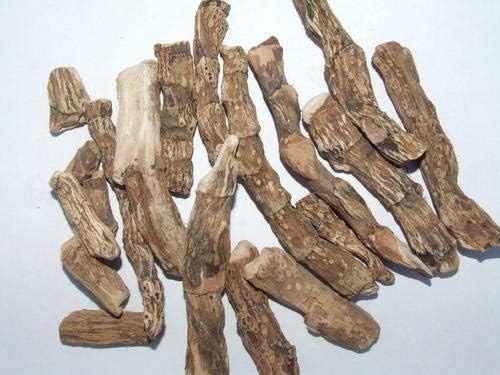 Calamus Root, Acorus Calamus, Organic ~ Sacred AYURVEDIC Herbs from (2)