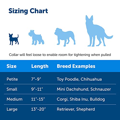 Petsafe Martingale Collar With Quick Snap Buckle, 3/8" Petite, Raspberry #TOP3