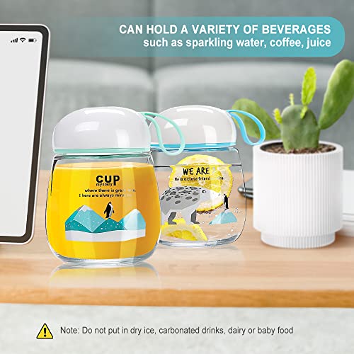 Bottiglia di Vetro 300 ml. Borraccia