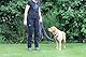 Activity4Dogs Anti-Slip Hundeleine aus Nylon | rutschfest | 2,80 m lang | 4-Fach verstellbare Führleine | für mittelgroße und große Hunde | Lila | Made in Germany