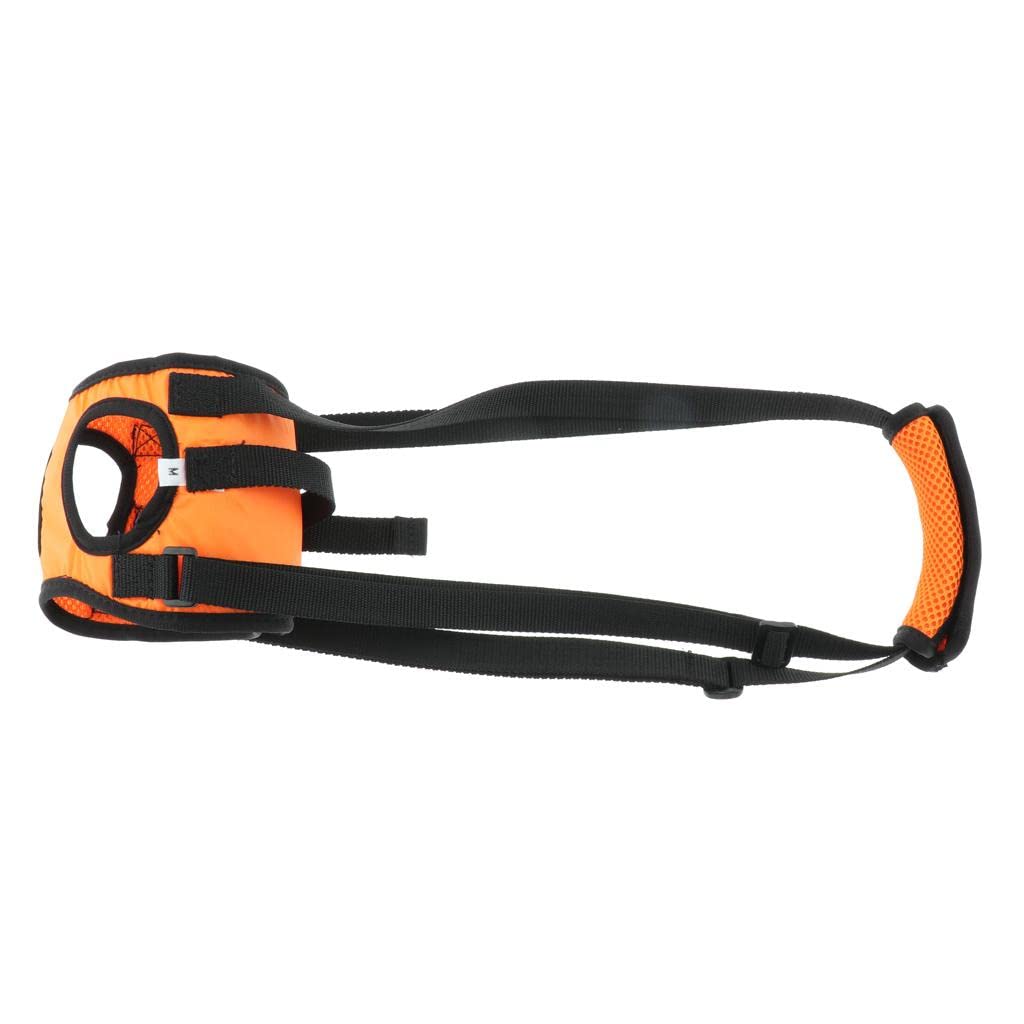Meri SHOPP Dog Walking Lifting Carry Support Harness for Injured Disabled Dog M (B09Y8Y7M6J) Amazon Price History, Amazon Price Tracker