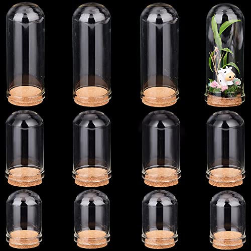 PH PandaHall 12pcs Glass Display Dome Cloche, 3 Size Glass Bell Jar with Cork Base Bottles Dome Decorative Jars Display Case for Flower Storage, Home, Christmas Party Favor Decoration