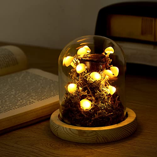 Mushroom Night Light Mushroom Lamp Mushroom Light Cozy Lights Decor Mushroom Decor Led Light In Glass Dome With Base For Home Bedroom Decor Birthday Valentines Anniversary Thanksgiving Gifts #TOP3