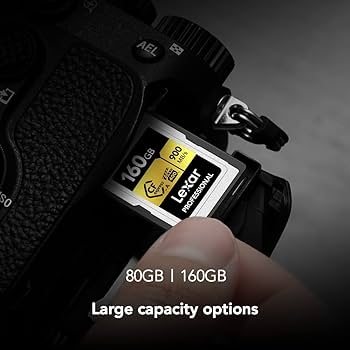 その他 Lexar Professional CFexpress TypeA 160GB Lexar 160GB Professional CFexpress Type A Card LCAGOLD160G-RNENG