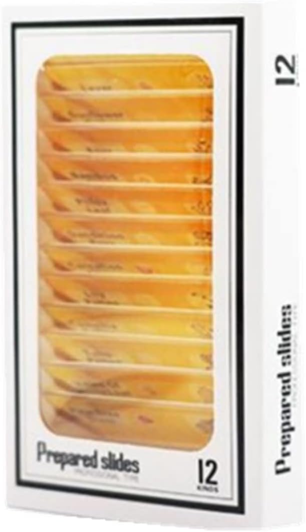 Microscopes Equipment 12 PCS Microscope Slides Biological Specimen(Multicolor)