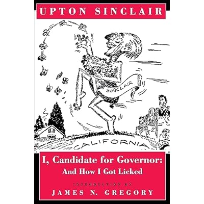 I, Candidate for Governor: And How I Got Licked