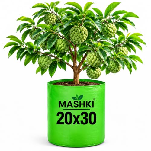 Image of MASHKI 20x30 Inch Extra Deep Grow Bag for Guava, Dwarf Mango & Fruit Plants | 300 & 400 GSM Heavy Duty HDPE | Long Life UV Stabilized Tree Planter for Terrace & Garden (3, 20x30 Inches, 400 GSM)