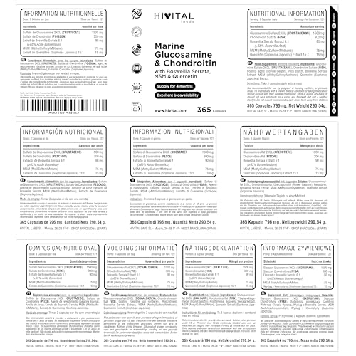 Glucosamina con Condroitina. 365 cápsulas para 4 meses de tratamiento. Con 1500 mg de Glucosamina Marina 2KCL, Condroitina Marina, MSM, Boswellia Serrata y Quercetina. Fabricado en España por HIVITAL - imagen 2