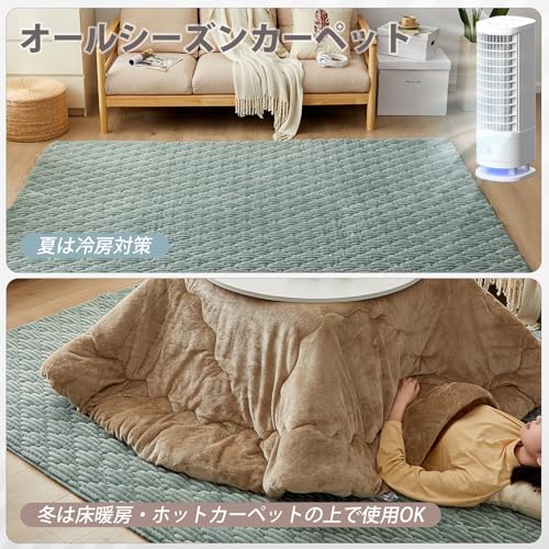 VK Ingeroom カーペット ラグ 極厚25mm ラグマット 1.5畳 絨毯 厚手 ラグ 滑り止め 防音 洗える フランネルラグ 床暖房 ホットカーペット対応 無地 シンプル 防ダニ 防臭 ラグ 130×190cm グレー/グリーン [5]