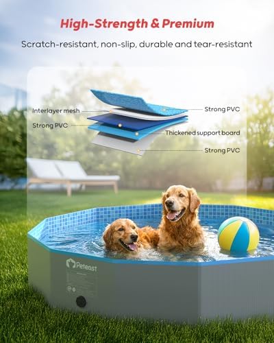 Peteast Foldable Dog Pool with 2 Flying Disks, Durable Hard Plastic Dog Swimming Pools for Large Dogs, Collapsible Pet Pool for Backyard & Indoor, Ideal Kiddie Pools for Dogs and Kids, 32 in - 2