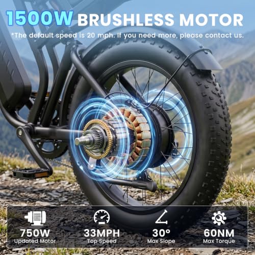 1500W Fat Tire Electric Bike