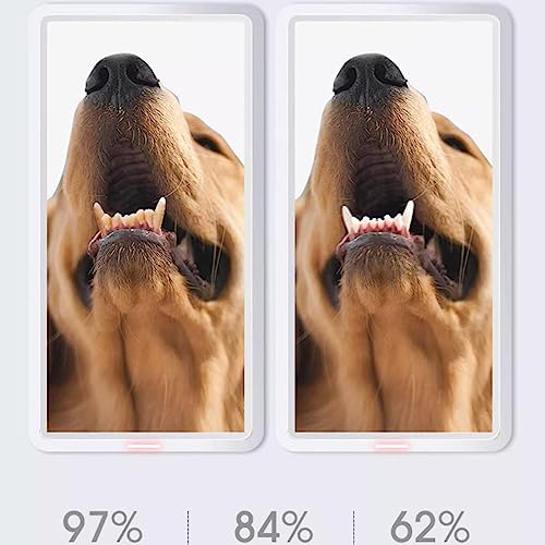 Escova de dentes para dedo de cachorro, Escova de cachorro para dente, Berços para limpeza de dentes