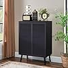 Modern and simple black rattan storage cabinet metal rattan accent cabinet with double doors buffet storage for living room hallway entryway dining room bedroom black  urban country home decor