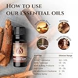 Ecodrop Cinnamon Bark Essential Oil - 10ml | 100% Natural Therapeutic Grade Indian Cinnamomum Zeylanicum Oil | Organic Aromatherapy Diffuser & Massage Oil for Mental Calm, Mood, Sore Muscles & Focus - Image 5