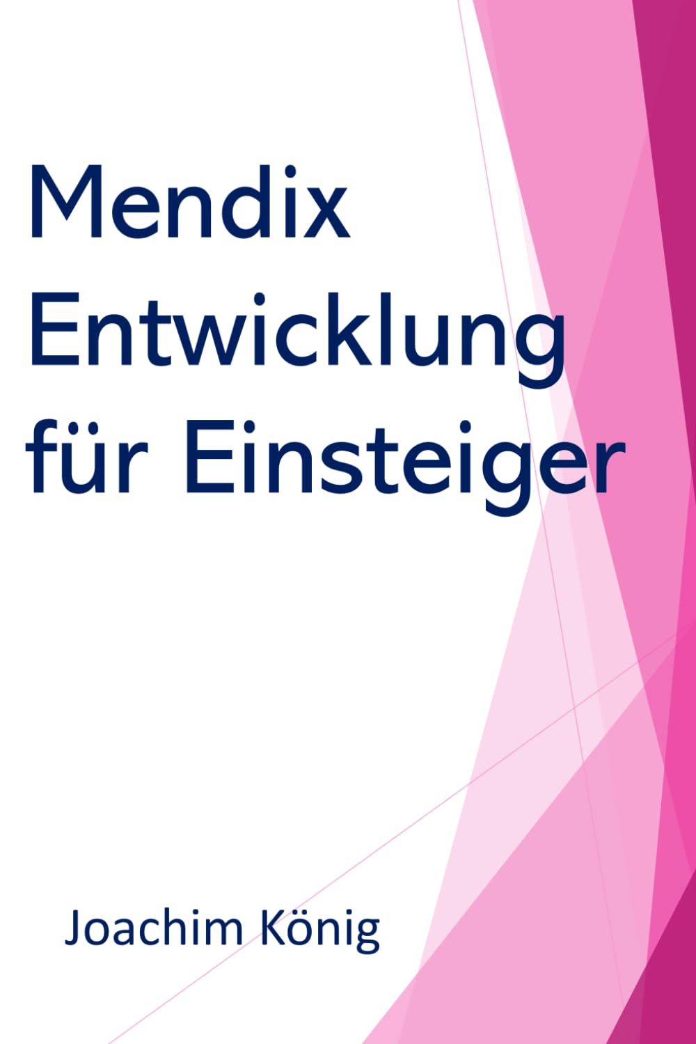 Mendix Entwicklung für Einsteiger: Das Low Code Handbuch: Grundlagen, Architekturprinzipien und erste Modellierungsübersicht