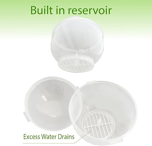 Miniatura 4 de Trenton Gifts Almacenamiento de lechuga y vegetal  7 x 8 pulgadas