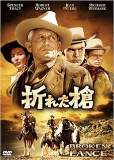 折れた槍のイメージ画像1