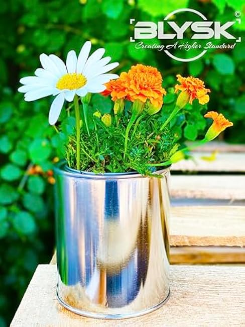 Empty Metal Cans with Lids ¨C 16?oz/Pint Size, Unlined, Airtight Seal, Can Opener Included 6 Pack