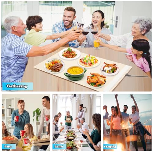 Saphe Electric Warming Tray - Portable Food Warmer with 3 Temp Settings - Image 2