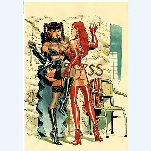 Poster MEYNET N°41 Sado MASO 2 Signé N° 149Ex format A4