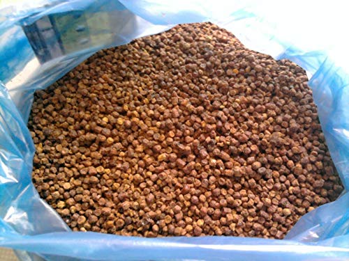 Bee Bread Fresh (Perga, Bienenbrot, Ambrosia)