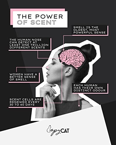 Copycat Fragrances | Inspired by Ombre Nomade Perfume | Eau de Perfume, Aftershave for Men | 30ml, 50ml & 100ml - Image 6