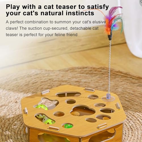 Jouets d'enrichissement pour chaton avec boîte de lime à ongles interactive