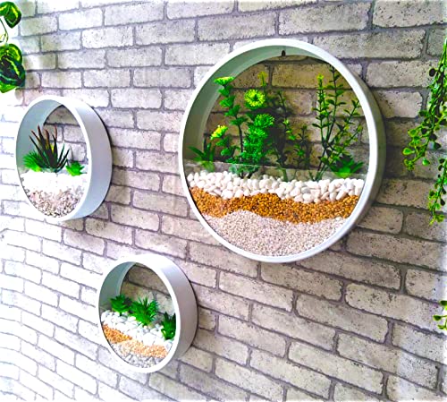 Round Metal Glass Wall Planters 3 Pack,Circle Iron Wall Vase Set,Modern Wall Flower Pots Wall Plant Holder Vertical Container Decor For Artificial Succulent,Herb,Cactus,For Balcony,Room,Patio,White #TOP21