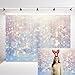 INRUI Polyester White Snowflakes Winter Backdrop Christmas Glitter Bokeh Wonderland Photography for Newborn Baby Christmas Holiday Party Decoration (7x5FT)