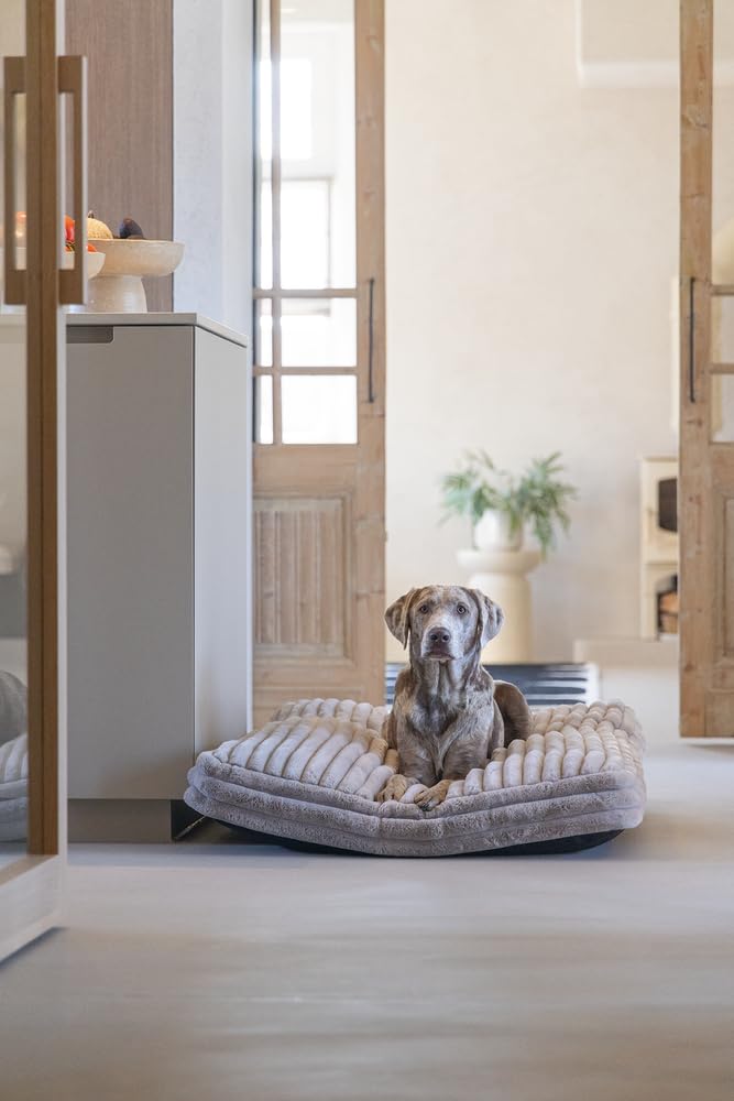 Designed by Lotte Reza, Hundekissen, Beige, 120x80x12 cm