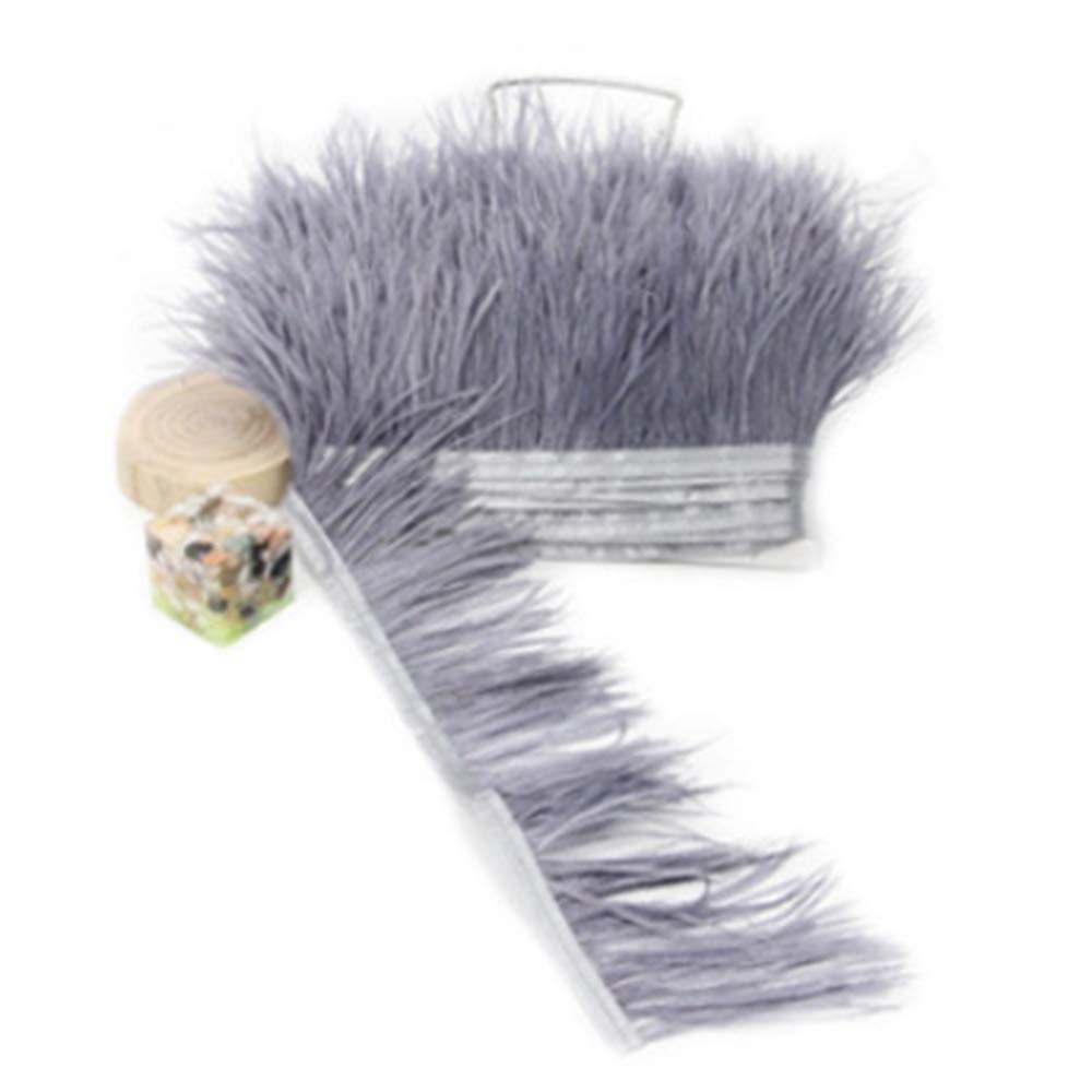 Nicole Knupfer - Nastro con piume di struzzo, strisce di tessuto per abbigliamento, cucito, costumi, decorazioni fai da te, 2 m, 100#