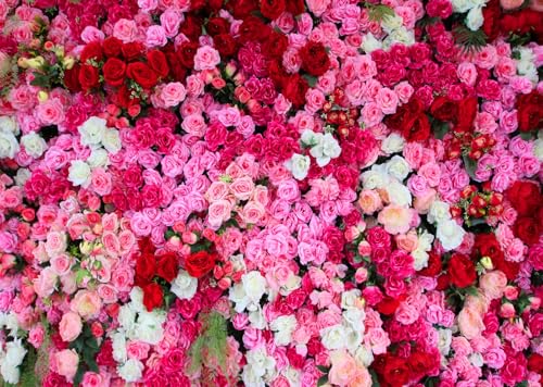 Fondo Fotográfico Floral BELECO 7x5FT Rosa miniatura 5