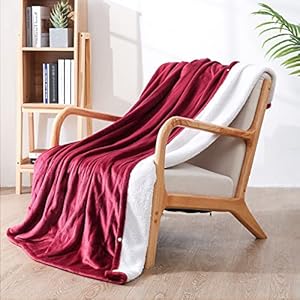 Electric Blanket with 4 Heating Levels & 3H Auto Off, Super Soft Flannel Heated Throw Blankets 50”×60“, ETL and FCC…