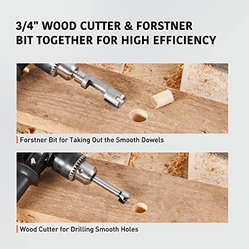 Anfrere 3/4" Wood Plug Cutter And Forstner Bit For Wood Cutting Tool Cork Drill Bit Knife, 3/8" Round Shank Carbon Steel Taper Tapered Cutting Tool Cork Drill Bit Knifes, Wcb-A2 #TOP1