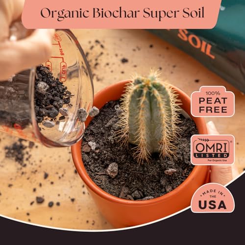 Image of Rosy Soil Cactus & Succulent Potting Mix, 4 Quarts, Pack of 2 | Organic Succulent Potting Soil, Chunky Fast Draining, Peat-Free, Root Boosting Mix, For AloeVera, Cacti, Indoor Succulents