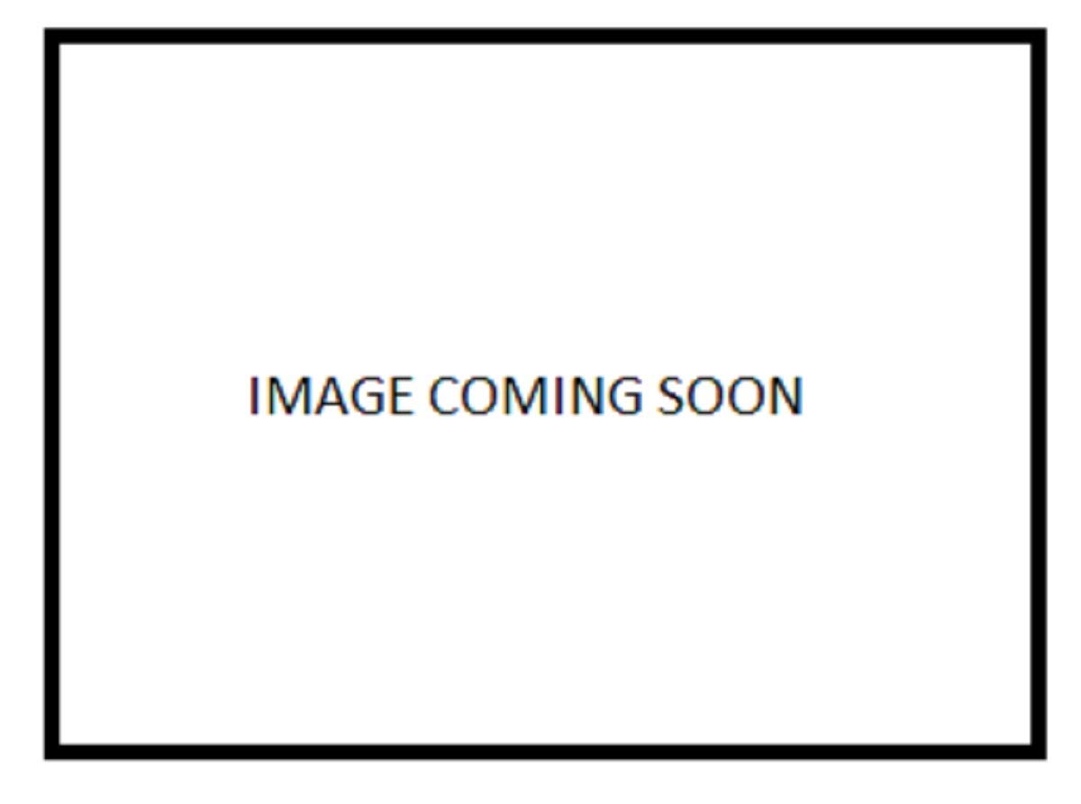 Dentley's Nature's Chews Slow Roasted Hide Stick Dog Treat Bacon 5oz