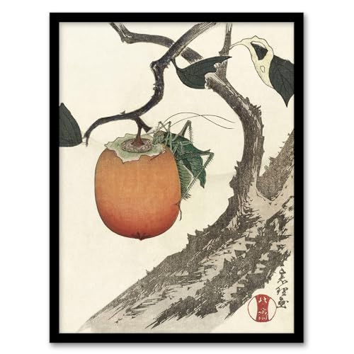 Artery8 Persimmon Fruit Grasshopper Framed Wall Art Print Vintage Japan : by Hokusai 12x16 Botanical still life bursting with warmth ideal for kitchen dining area or homely living room