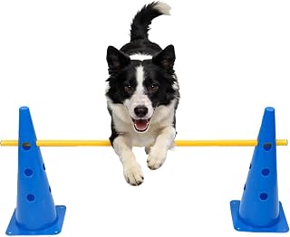 Dog Agility Course Backyard Set Height Adjustable Heavy-Duty