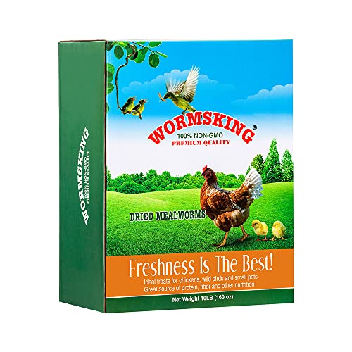 How to buy and care for a christmas tree