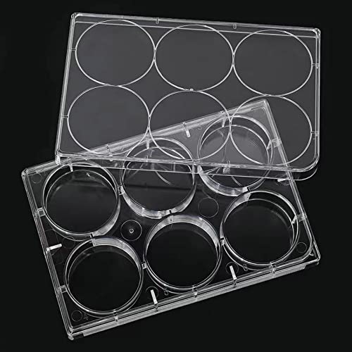 The 30 Best Lab Cell Culture Microplates of 2024 [Verified] Cherry Picks