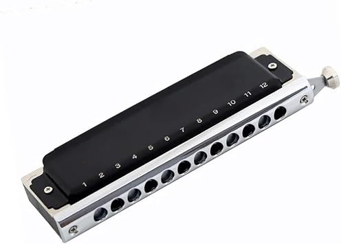 armonica Set 12-Hole 48 Tones Chromatic Black Harmonica Key of C for Professional Player Students Beginner