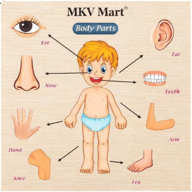 Image of Body Part Puzzle Kids Wooden Toys for Kids 3 + Jigsaw Puzzles for Adults Baby Learning Toys Educational Toys Game for Learning Human Body Parts Anatomy Skeleton - Gift Toys for Boy and Girl