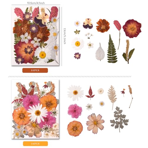 Image of 100 PCS Cream Color Pressed Dried Flowers & Leaves | Real Natural Dried Flowers, With Tweezers, For Resin, Candle, Jewelry, Scrapbooking & DIY Crafts