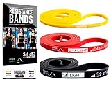 Aumenta tu resistencia cardiorrespiratoria, fuerza muscular, resistencia muscular y flexibilidad
