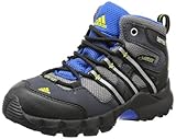  adidas Performance Unisex Baby Terrex MID GTX I Sneaker, Grau (Sharp Grey F11 / METALLIC Silver/Blue Beauty F10), 20 EU