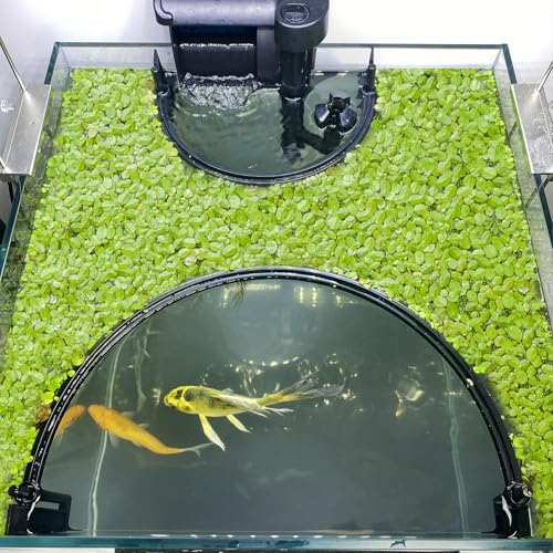 Floating Plant Corral for Aquarium Fish Tank Accessories to Protects Duckweed from Filters Automatically Adjusts Height According to Water Level Suitable for All Duckweed and all aquariums(Style 2)