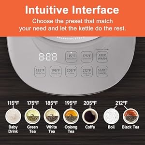 Titanium & Stainless Steel Electric Kettle with Tea Infuser and Temperature Control,1.5L Glass Tea Maker,1500W Rapid Boiling,Programmable Control for your Favorite Teas and Coffee-Grey Titanium Stainless Steel Electric Kettle with Tea Infuser and Temperature Control15L Glass Tea Maker1500W Rapid BoilingProgrammable Control for your Favorite Teas and Coffee Grey