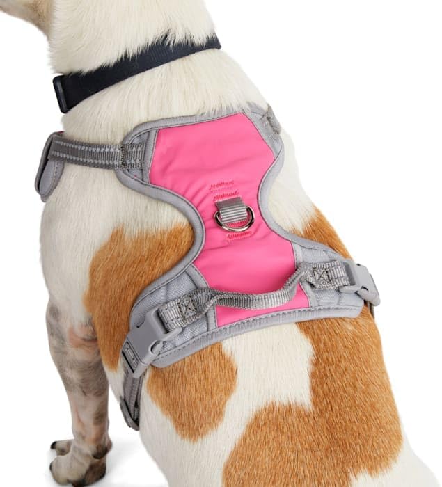 EveryYay by Petco Front Walking Reflective Dog Harness Pink XX-Large/3X-Large