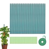 Rankstäbe zur Unterstützung der Pflanzen – Pfosten für Töpfe | mit Befestigungen, Band und Tomatenstäben, zum Basteln, Handwerk, Orchidee im, Garten, Haus, Hof, Grundstück